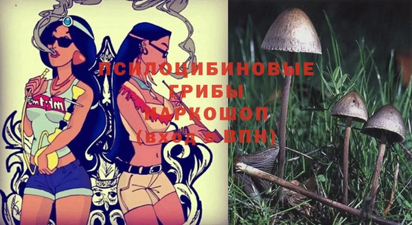 Альфа ПВП Алзамай