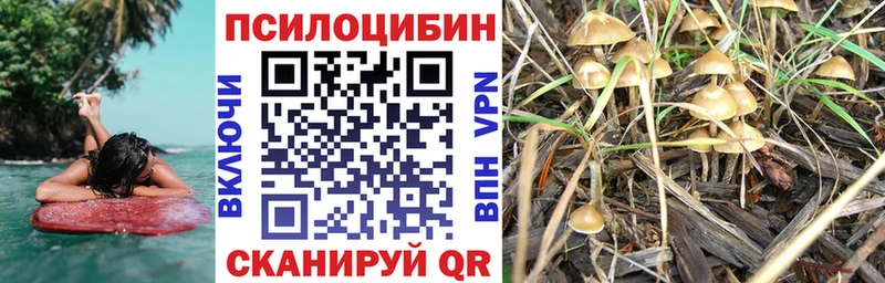ОМГ ОМГ сайт  Ардатов  Галлюциногенные грибы GOLDEN TEACHER 